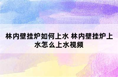 林内壁挂炉如何上水 林内壁挂炉上水怎么上水视频